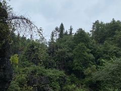 -梭布垭石林景区