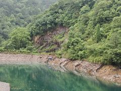 -大奇山国家森林公园