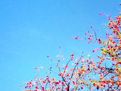 -厦门市鼓浪屿风景名胜区-天主教堂