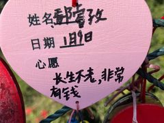 -西双版纳原始森林公园