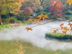 -田野绿世界