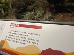 -陕西自然博物馆