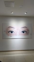 -丰联丽格医疗美容·联合丽格眼整形中心