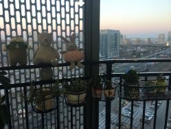 -T·C BEAUTY皮肤管理美容美体工作室