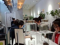 -树夏(金楠天街店)