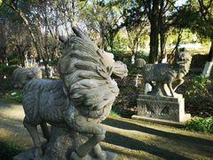 -白马涧龙池景区