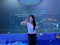 -重庆欢乐海底世界