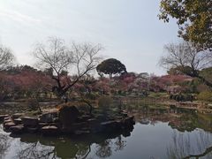 -无锡梅园公园