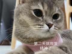 -北京观赏动物医院·24小时大型综合·猫专科·异宠专科