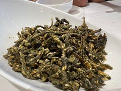 -解家河南菜(商鼎路店)