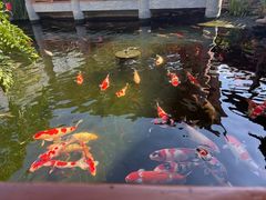 -香麒园·过桥米线·南湖雅宴