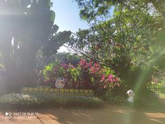 -海南热带野生动植物园
