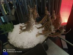 -王家渡火锅店(棕榈泉店)