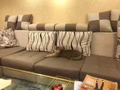 -弹指之间吉他培训(石景山店)