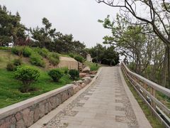 -燕儿岛山公园