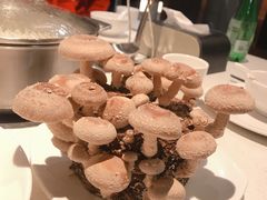 -煲王粤菜餐厅(中侨中心店)