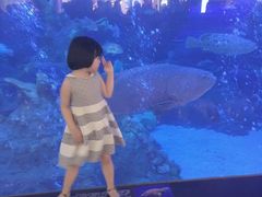 -成都浩海立方海洋公园