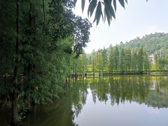 -三水森林公园