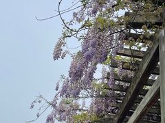 -汉江湾体育公园
