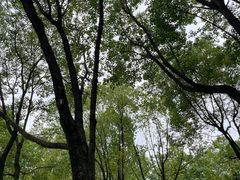 -重庆中央公园(渝北区)