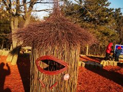 -北京西山国家森林公园