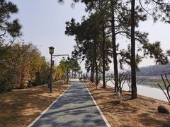 -月湖风景区