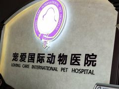-宠爱国际动物医院·疑难骨科·心肾内科·皮肤科(太阳宫店)