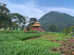 -广州市石门国家森林公园