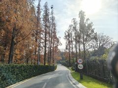 -东湖落雁景区