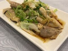招牌葱油淋鸡-粤·向群饭店(龙津东路总店)