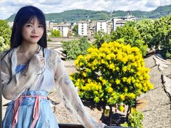 -中天楼