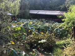 景观位-西院1号(龙井店)