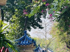 -广州中山纪念堂