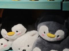 -左海海底世界
