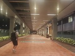 -香港大学