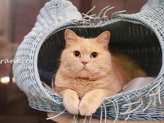 -爱侣宠医·鹦鹉专科·小型哺乳类·异宠专科(灵石路店)