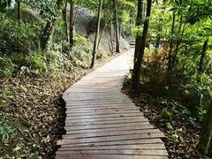 -广州市石门国家森林公园