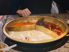 -Xiao Long Kan Hotpot Sydney 小龙坎老火锅