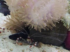 -太平洋海底世界