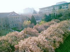 -山东师范大学(千佛山校区)