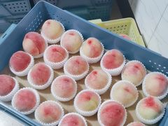 -老袁家蜜桃农场·阳山水蜜桃