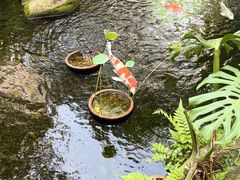 -寻味顺德·顺峰山庄(大良店)