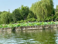 -济南大明湖景区