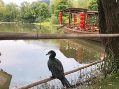 -长兴太湖图影湿地文化园