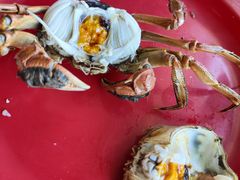 -好伦哥(温都水城店)