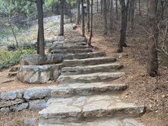 -佛慧山