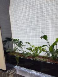 -重庆军科整形美容医院