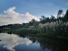 -贵阳市花溪国家城市湿地公园