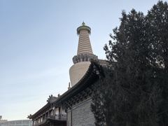 -张掖大佛寺景区