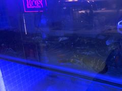 -鑫郭氏·南昌20年大排档·小龙虾羊蝎子(潮阳里店)